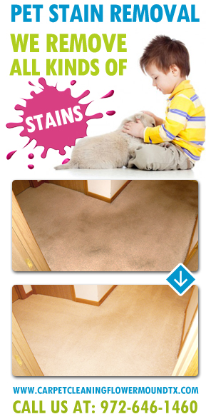 Carpet Stain Removal